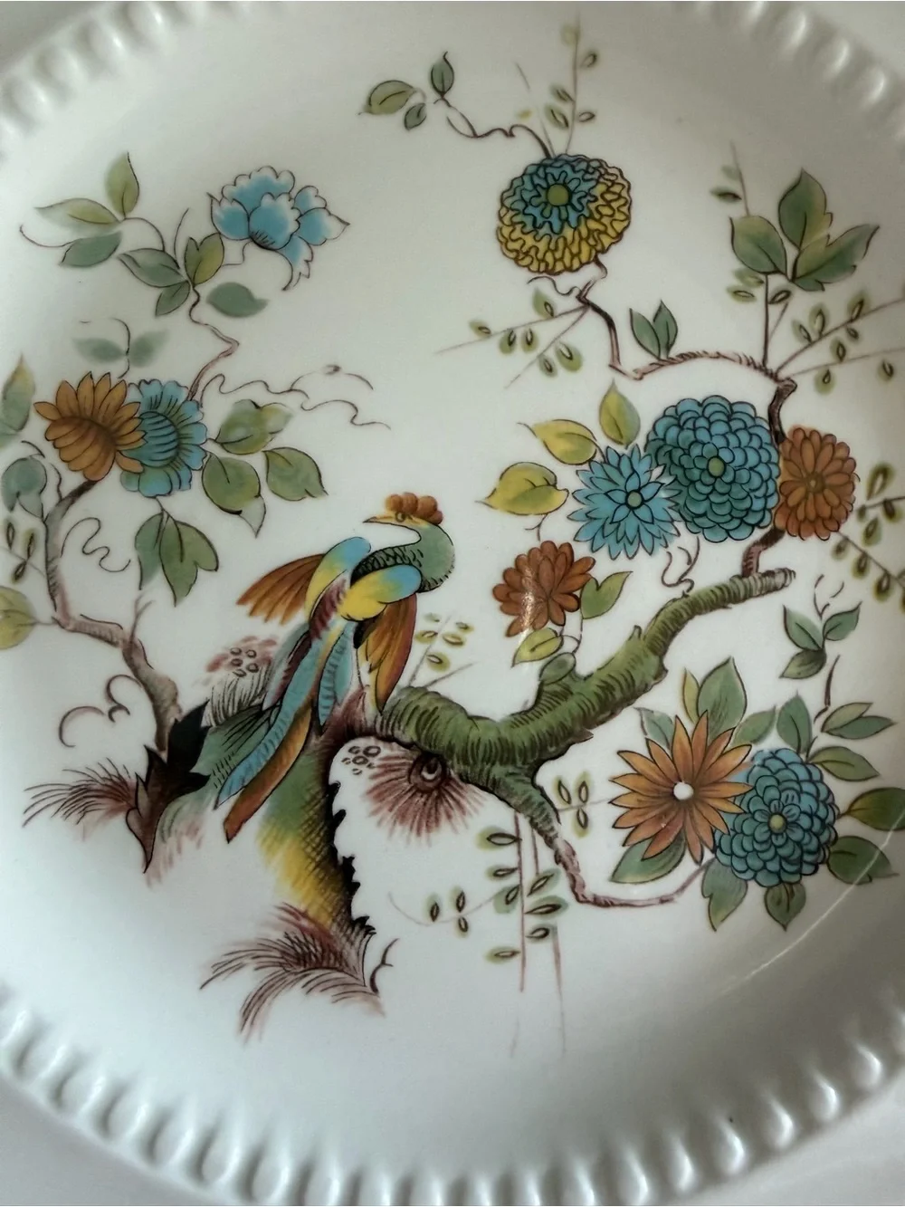 Decorative Floral Bird Ceramic Dinner Plate in Cream by Royal Cauldon Paradise